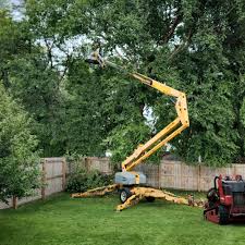 Lawn Edging in Mathis, TX