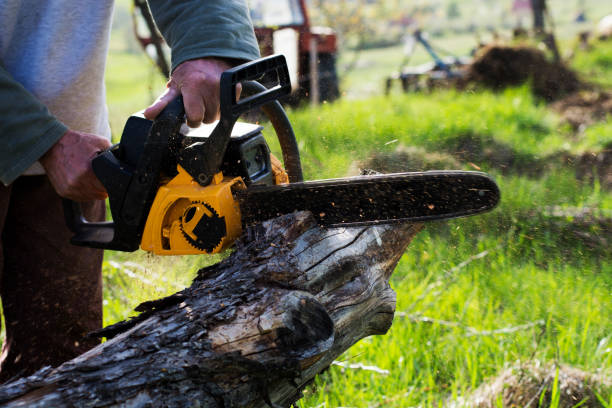 Best Utility Line Clearance  in Mathis, TX